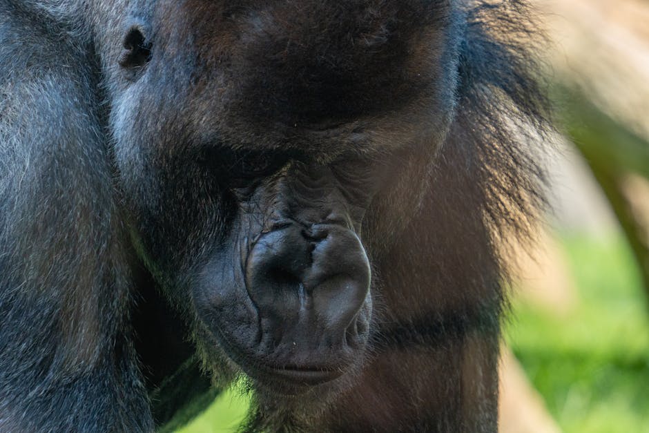 peeling químico Sevilla